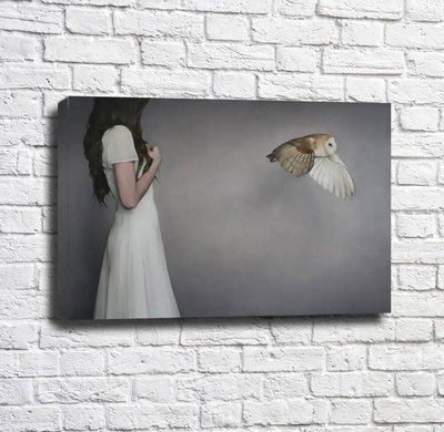 Девушка в белом платье и сова на сером фоне Emi14944 фото