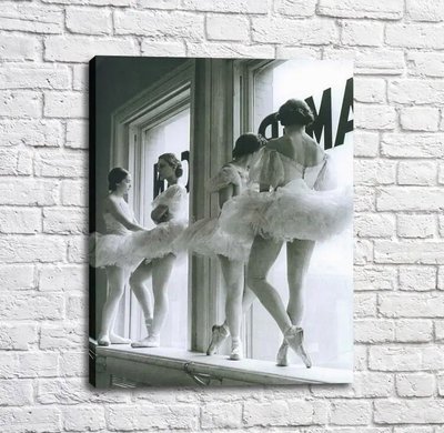 Poster Balerina în fuste de balet albe pe pervazul ferestrei Tan16944 фото