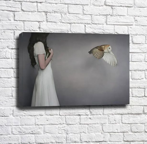 Девушка в белом платье и сова на сером фоне Emi14944 фото