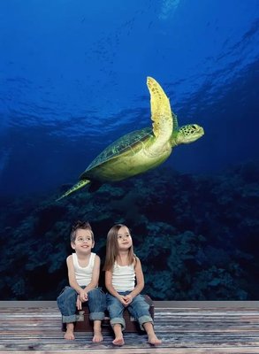 Фотообои Большая черепаха плавает у рифов в океане Pod2255 фото