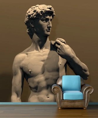 Фотообои Статуя Давида, Микеланджело 3D5305 фото