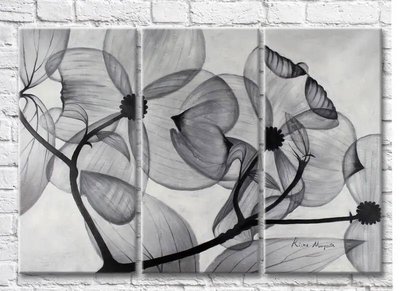 Triptic Flori transparente alb-negru pe fundal gri Abs7305 фото
