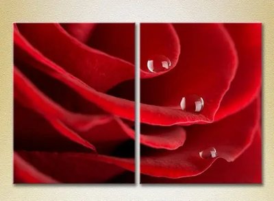 Модульные картины Капли на красной розе TSv6755 фото