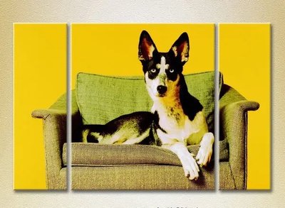 Модульные картины Собака на кресле ZHi10455 фото