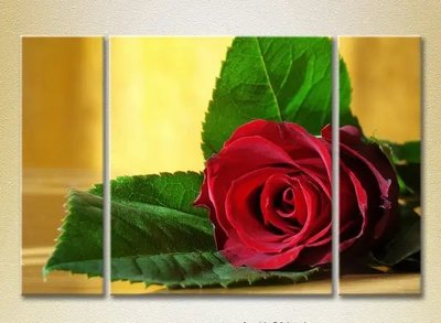 Модульные картины Красная роза TSv10155 фото