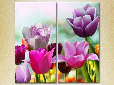 Модульные картины Поле разноцветных тюльпанов TSv6805 фото