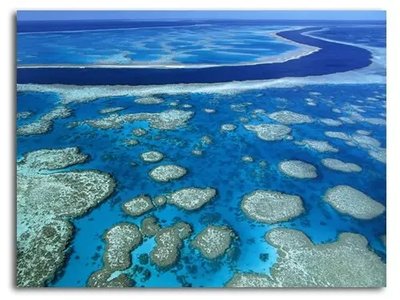 ФотоПостер Великий коралловый риф в Австралии Avs17717 фото