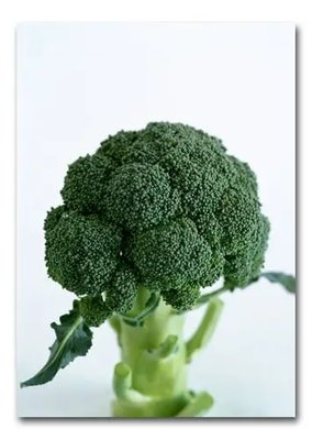 PhotoPoster Broccoli Eda16726 фото