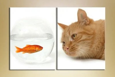 Модульные картины кот и золотая рыбка ZHi8806 фото
