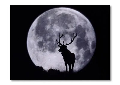 ФотоПостер Олень на фоне луны Dik15498 фото