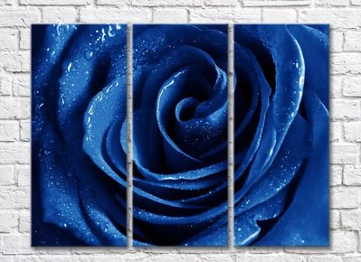 Триптих-синяя роза TSv5706 фото