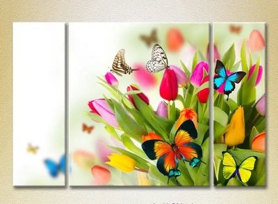Модульные картины Тюльпаны и бабочки_02 TSv10306 фото