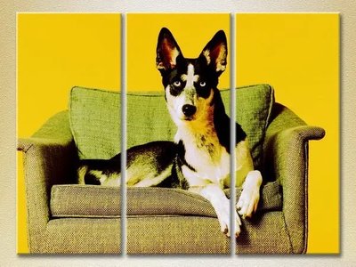 Модульные картины Собака на кресле_02 ZHi10456 фото