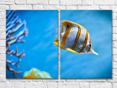 Диптих Желтая полосатая рыбка в море Mor8156 фото
