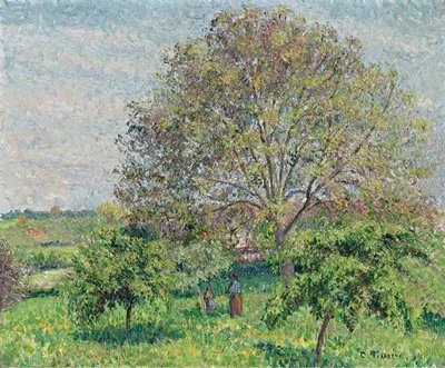Great Nut-Tree in Spring, Eragny, 1894 Sis11206 фото
