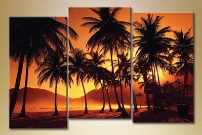 Модульные картины пальмы на закате Mor8457 фото