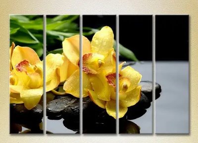 Модульные картины Желтые орхидеи на камнях_02 TSv7457 фото