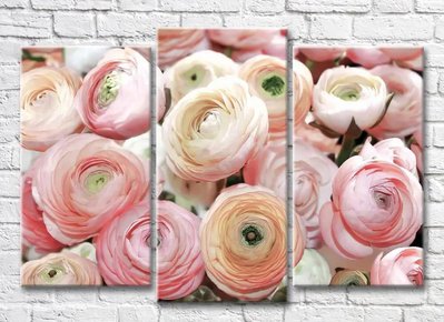 Триптих Розовые цветки ранункулюса 3D7757 фото