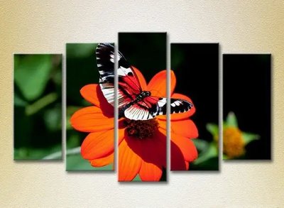 Модульные картины Бабочка на цветке_05 ZHi9807 фото