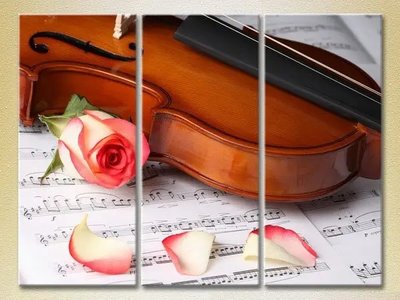 Модульные картины Лепестки роз и скрипка_02 TSv10157 фото