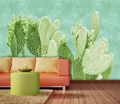 Cactusi verzi strălucitori pe un fundal verde TSv757 фото
