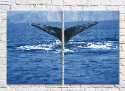 Диптих Хвост кита над водой Mor8240 фото