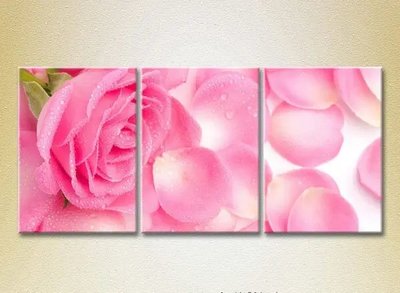 Модульные картины Розовая роза и лепестки TSv10290 фото