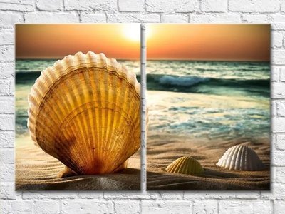 Диптих Большая ракушка в песке на фоне моря Mor8158 фото
