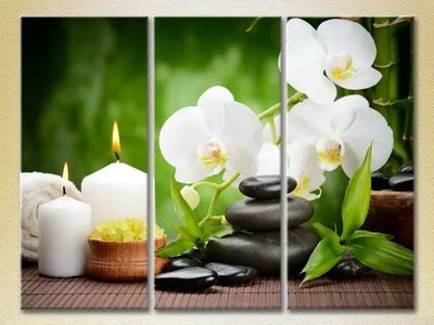 Модульные картины Белые орхидеи и бамбук TSv9758 фото