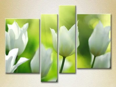 Модульные картины Белые тюльпаны TSv7858 фото