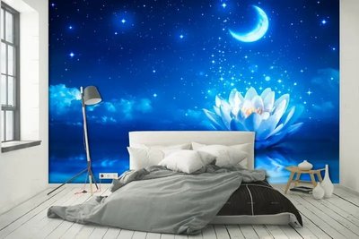 Фотообои Белый лотос на фоне луны и звезд, фэтнэзи Kos2159 фото