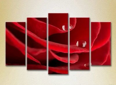 Модульные картины Капли на красной розе_01 TSv7509 фото