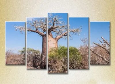 Tablouri modulare Baobab_02 Pri9159 фото