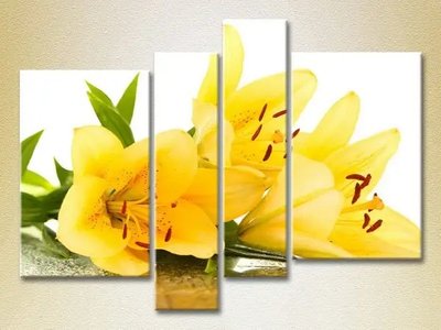 Модульные картины Желтые лилии TSv7959 фото