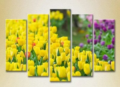 Модульные картины Поле желтых тюльпанов_05 TSv7110 фото