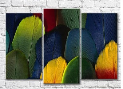 Triptic Pene de pasăre multicolore Abs7260 фото
