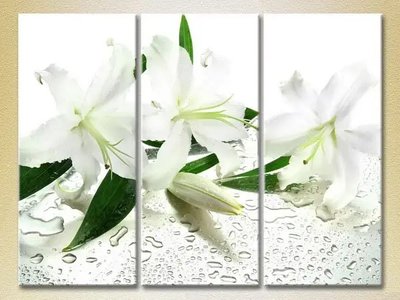 Модульные картины Белые лилии_02 TSv9760 фото