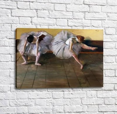 Poster Clasa de balet, balerini si pantofi pointe Tan17008 фото
