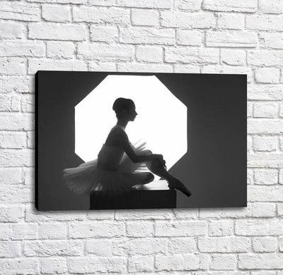 Poster Silueta unei balerine pe un fundal alb-negru Tan18148 фото