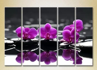 Модульные картины Фиолетовые орхидеи на камнях_03 TSv7111 фото