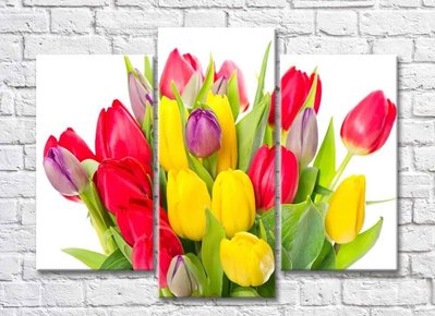 Триптих-букет разноцветных тюльпанов TSv5711 фото