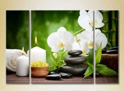 Модульные картины Белые орхидеи и бамбук_01 TSv9761 фото