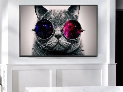 Pisică dolofană în ochelari care reflectă spațiul ZHi14562 фото