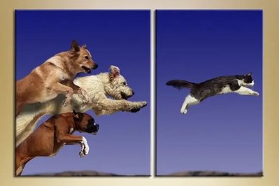Модульные картины Собаки и кот ZHi8762 фото