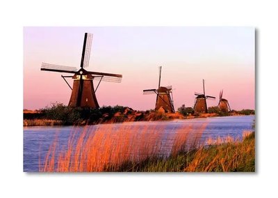 Afiș foto Morile de vânt olandeze Evr15504 фото