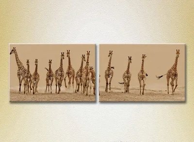 Модульные картины Стадо жирафов ZHi9462 фото