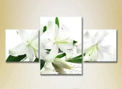 Модульные картины Белые лилии TSv10162 фото