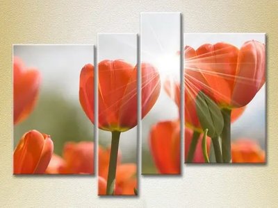 Модульные картины Красные тюльпаны TSv8012 фото