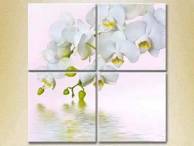 Tablouri modulare Orhidee albă TSv7962 фото