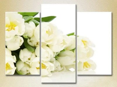 Модульные картины Букет белых тюльпанов_02 TSv9762 фото